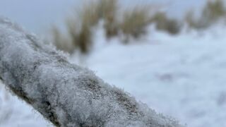 Insel Norderney im Winter