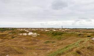 Dünen-Landschaft Norderney Nordsee