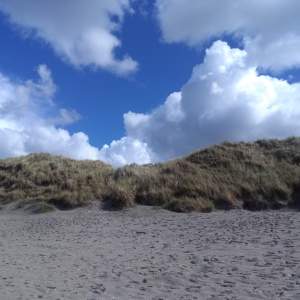 Dünen am Strand der Norderney