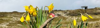 Osterurlaub auf der Insel Norderney