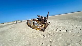 Wrack am Strand von Norderney